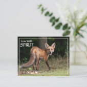Carte Postale Vivre Avec Esprit (Debout devant)