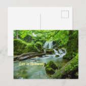 Carte Postale Vivre en harmonie (Devant / Derrière)