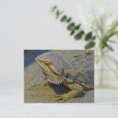 Carte Postale Vivre sous le feu - Dragon à l'oreille (Debout devant)