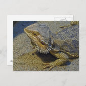 Carte Postale Vivre sous le feu - Dragon à l'oreille (Devant / Derrière)