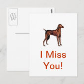 Carte Postale Vizsla (Devant / Derrière)