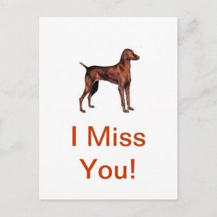 Carte Postale Vizsla