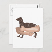 Carte Postale Vizsla (Devant / Derrière)