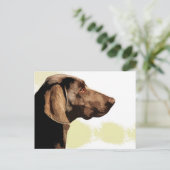 Carte Postale Vizsla (Debout devant)