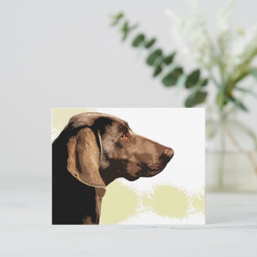 Carte Postale Vizsla (Debout devant)