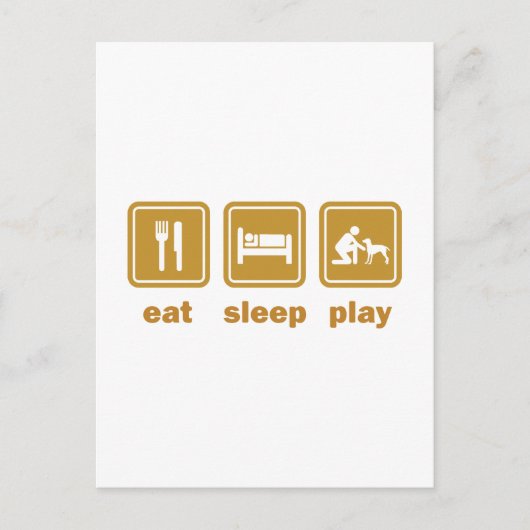 Carte Postale Vizsla (Devant)