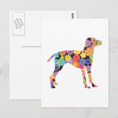 Carte Postale Vizsla (Devant / Derrière)