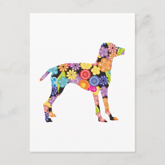 Carte Postale Vizsla (Devant)