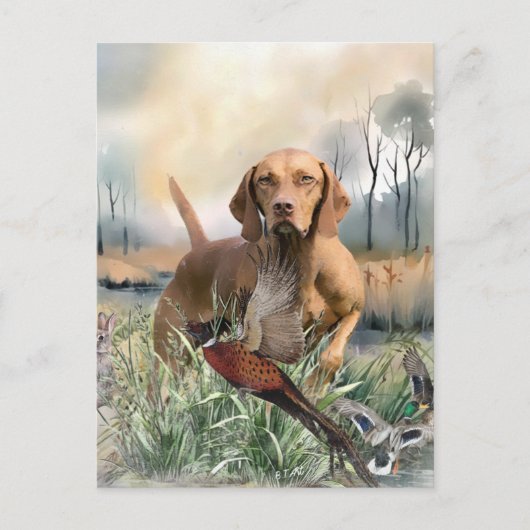 Carte Postale Vizsla, Art (Devant)