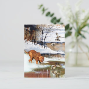 Carte Postale Vizsla hongroise, canards de chasse en hiver