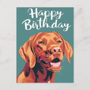 Carte Postale Vizsla Joyeux Anniversaire