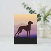 Carte Postale Vizsla Montagne Violette (Debout devant)