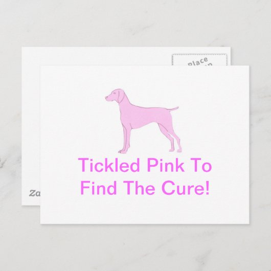 Carte Postale Vizsla rose (Devant / Derrière)