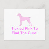 Carte Postale Vizsla rose (Devant)