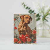 Carte Postale Vizsla Saint Valentin Vintage (Debout devant)