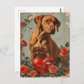 Carte Postale Vizsla Saint Valentin Vintage (Devant / Derrière)