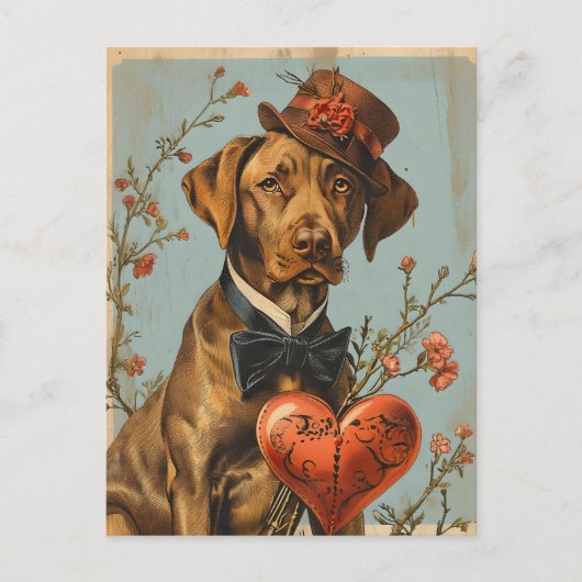 Carte Postale Vizsla Saint Valentin Vintage (Devant)