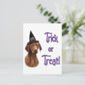 Carte Postale Vizsla Trick (Debout devant)