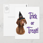 Carte Postale Vizsla Trick (Devant / Derrière)