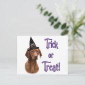 Carte Postale Vizsla Trick (Debout devant)