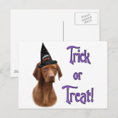 Carte Postale Vizsla Trick (Devant / Derrière)