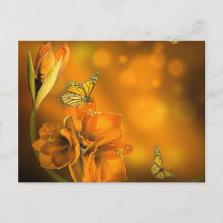 Carte Postale vlinders oranje