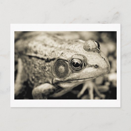 Carte Postale vœu simple du jour (Devant)
