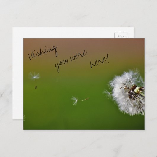 Carte Postale Vœux (Devant / Derrière)