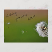 Carte Postale Vœux (Devant)