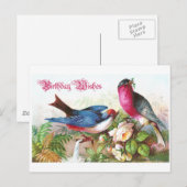 Carte Postale Voeux d'anniversaire (Devant / Derrière)