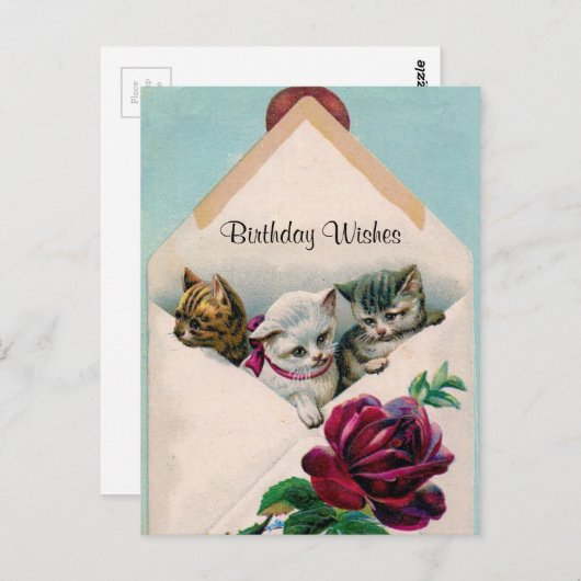 Carte Postale Voeux d'anniversaire - Chatons en Enveloppe - Cart (Devant / Derrière)