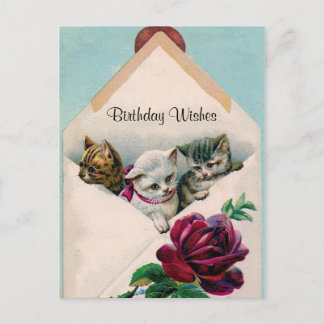 Carte Postale Voeux d'anniversaire - Chatons en Enveloppe - Cart