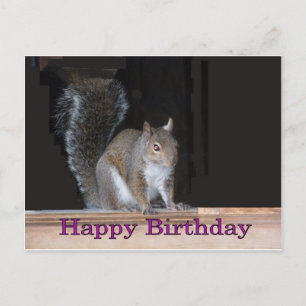 Carte Postale Voeux d'anniversaire de l'écureuil