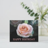 Carte Postale Voeux d'anniversaire rose (Debout devant)
