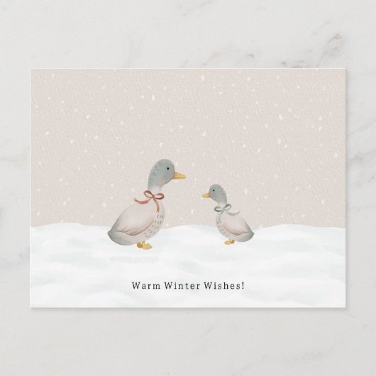 Carte Postale Voeux de Chaleureux Hiver Canards Mignons Dans La (Devant)