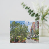 Carte Postale Voeux de Curaçao (Debout devant)