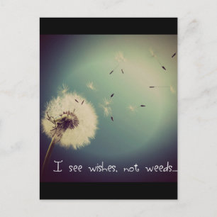Carte Postale Voeux de Dandelion