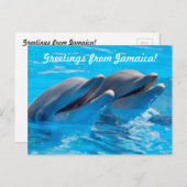 Carte Postale Voeux de Jamaïque Postcard (Devant / Derrière)