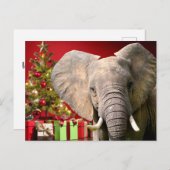 Carte Postale Voeux de Noël éléphant (Devant / Derrière)