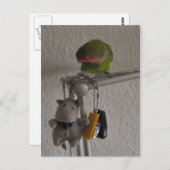 Carte Postale Vogel (Devant / Derrière)