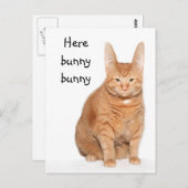 Carte Postale Voici lapin lapin (Devant / Derrière)