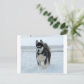 Carte Postale Voici le problème (Debout devant)