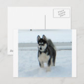 Carte Postale Voici le problème (Devant / Derrière)