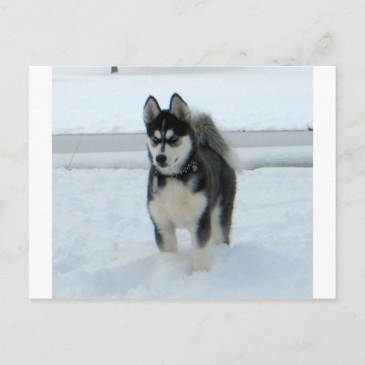 Carte Postale Voici le problème (Devant)