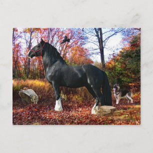 Carte postale "Voici le soleil"