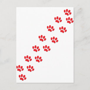 Carte Postale Voici les pattes de chat Kitty