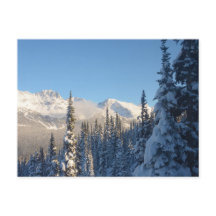 Voici une belle photo à Whistler Canada