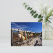 Carte Postale Voie à la plage - Dongara - Australie occidentale (Debout devant)