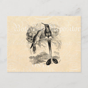 Carte Postale Voie de raquette vintage des années 1800