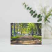 Carte Postale Voie pacifique (Debout devant)
